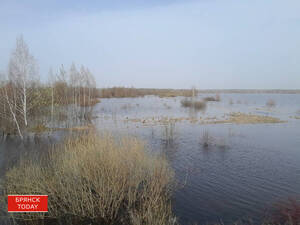 Брянская область практически освободилась от водного плена