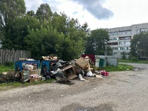 Жители микрорайона в Фокино в отчаянии из-за мусора и разрухи