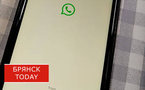 Брянцы столкнулись со сбоями в работе мессенджера WhatsApp*