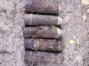 Специалисты МЧС ликвидировали взрывоопасные находки времен войны в двух районах Брянской области