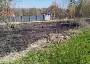 В Брянске за сутки потушили шесть ландшафтных пожаров