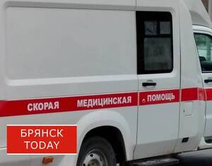 ДТП с пострадавшими под Дятьковом устроила 41-летняя женщина на Skoda