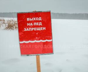 Брянцам рассказали, где можно искупаться в Крещенскую ночь