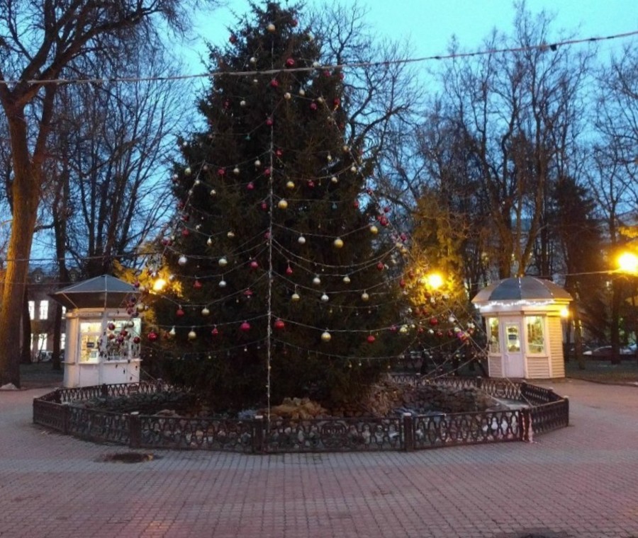 В Брянске главную новогоднюю елку установят 13 декабря