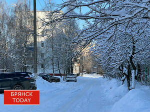 Холода задержатся: брянцам сообщили о погоде на 13 января