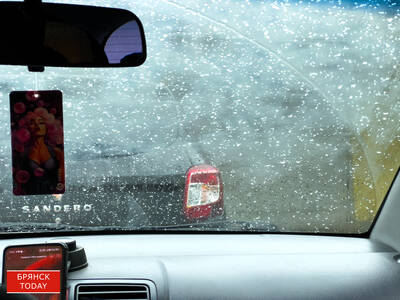 Долгожданный: в Брянске повалил снег