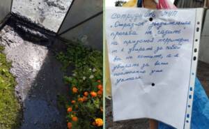 В Отрадном после устранения прорыва во дворе – грязевое наводнение