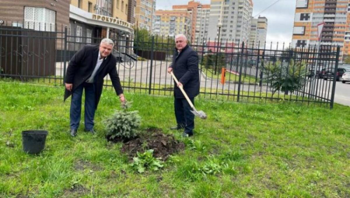 Сотрудники прокуратуры Брянской области высадили деревья к 300-летию ведомства