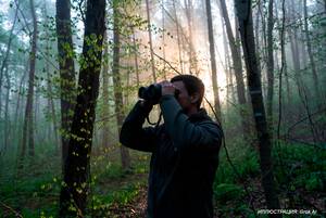 В Брянской области взялись считать вальдшнепов и рябчиков