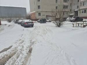 Снегопад в Брянской области сорвал график вывоза мусора