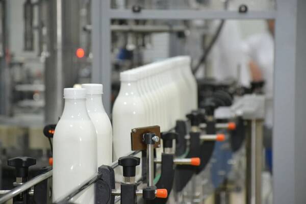 Нашли многочисленные нарушения на брянском предприятии «Молочная кружка»