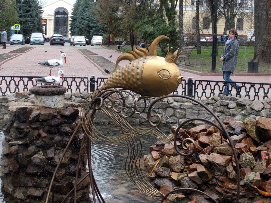 В Брянске в фонтане Круглого сквера появилась золотая рыбка