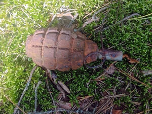 Два взрыва предотвратили саперы в Брянской области