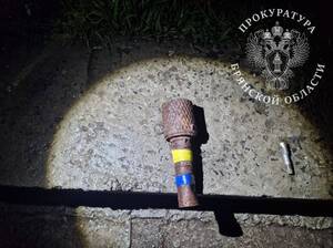 Жителя Дятьковского района осудили за оставленную в туалете ТЦ гранату