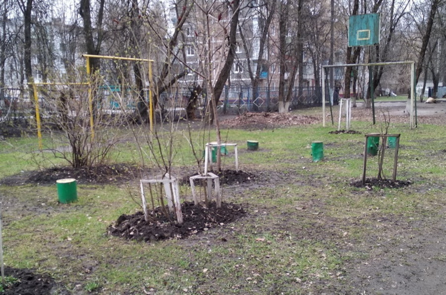 В Брянске пенсионеры превратили спортплощадку в сад
