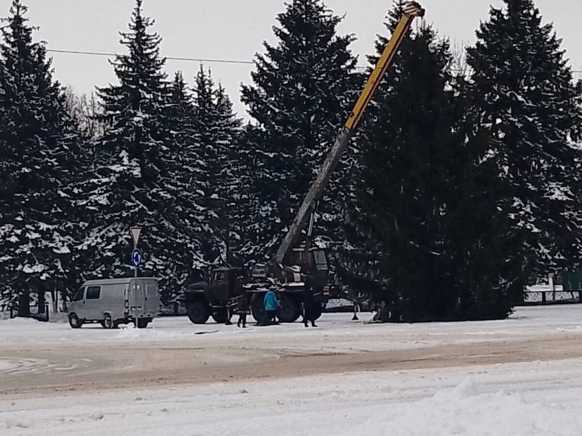 В брянском поселке Локоть установили новогоднюю ель