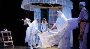 «Аленький цветочек» впервые «расцвёл» в Брянском театре кукол