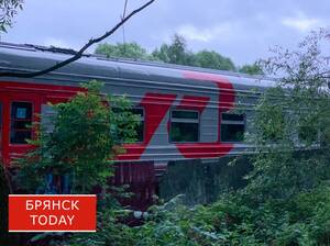 Минтранс анонсировал запуск беспересадочной электрички Брянск – Гомель