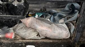 В Фокинском районе Брянска поймали двух браконьеров