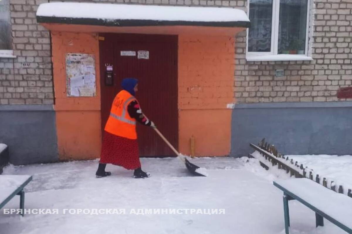 В Фокинском районе Брянска 7 управляющих компаний проспали снегопад |  29.11.2023 | Брянск - БезФормата