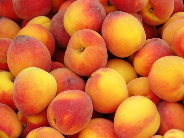 На Брянщину не пустили 14 тонн сербских персиков