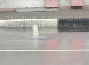 В Брянске внезапно возник 