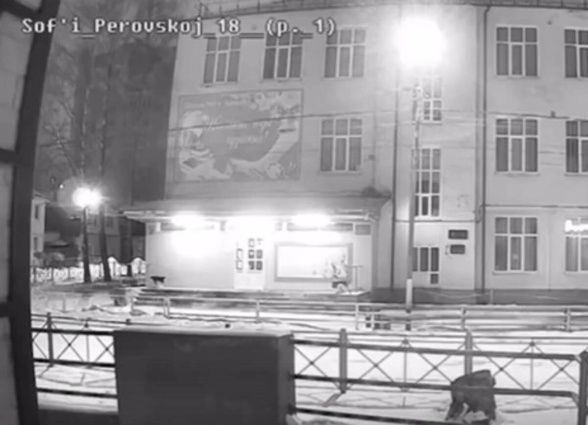 Появилось видео с записью сильного грохота, который раздался в Брянске утром в субботу 11 марта