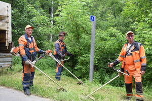 В Климовском районе ведут работу с растительностью на обочинах