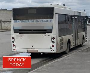В Брянске на новогодние праздники отменят некоторые автобусные рейсы