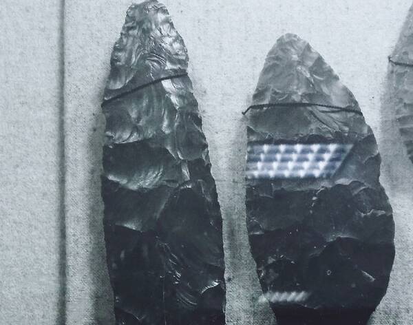 Брянский краеведческий музей поведал о наконечнике копья возрастом 100 тысяч лет