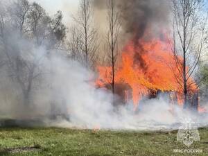 Сразу 17 домов загорелись в Брянской области