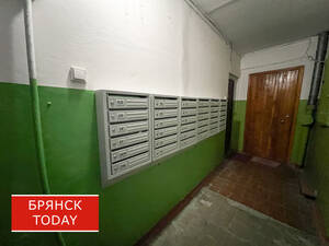 Кризис соседства: мы живем в одном подъезде, но не знаем друг друга. Почему?