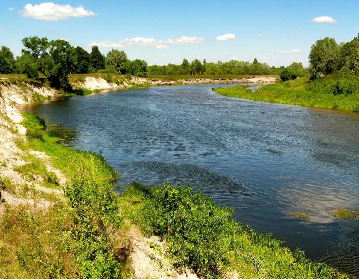 В Сураже из реки Ипути водолазы подняли тело утонувшей женщины | 13.07.2024  | Брянск - БезФормата