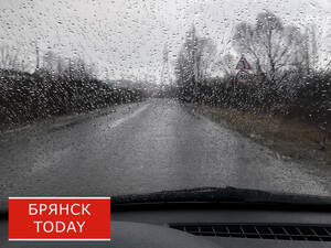 Брянцев предупредили о двух угрозах на дорогах