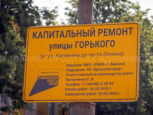 Названа новая дата «закрытия» улицы Горького в Брянске