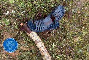 108 ударов палкой: пьяная ссора в Писаревке закончилась смертью