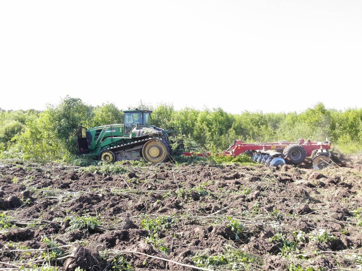 В 2022 году в Брянской области ввели в сельхозоборот 30 тысяч га неиспользуемых земель