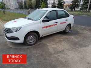 Сто тысяч рублей выплатит брянская гимназия пострадавшей ученице