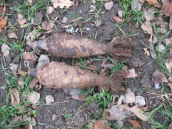 В Дятьковском районе нашли 4 мины времён войны