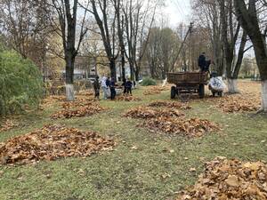 Первый заработок и опыт: в Брянском районе подвели итоги трудового лета для школьников