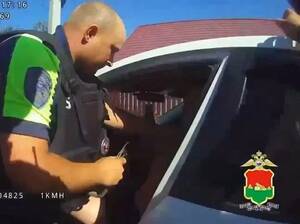 В Брянске в этом году пьяными за рулём попались 543 водителя