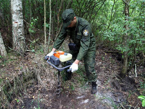Убил и спрятал труп в болоте: в брянском Следкоме сообщили жуткие детали