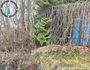 Брянец захватил берег пруда в Жуковском районе