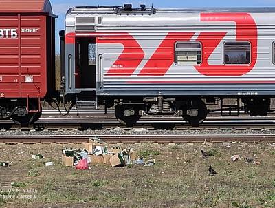 В Клинцах военные вернулись с учений и оставили горы мусора возле поезда