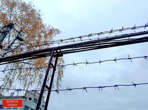 Напавшим на брянских росгвардейцев диверсантам ВСУ светит пожизненный срок