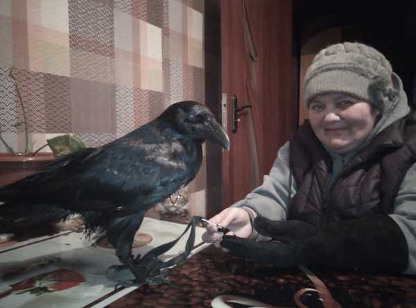 Брянская спасительница диких птиц просит поддержки для пернатых