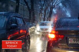 В Брянской области начались массовые проверки водителей