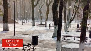 Брянскую область 2 октября накроют дожди и заморозки