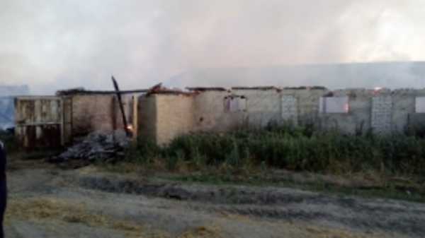 В Навлинском районе пожарные два часа тушили горящий телятник