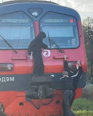 Полиция нашла брянских подростков, занимающихся «зацепингом»